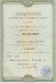Лицензия на осуществление аудиторской деятельности 1999-2002 гг.